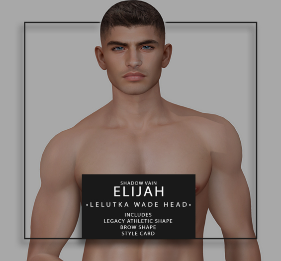 Shadow Vain - Elijah Shape - Lel Wade