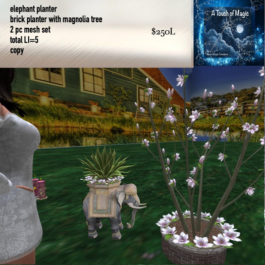 Two planters plants & tree-Box LI=5