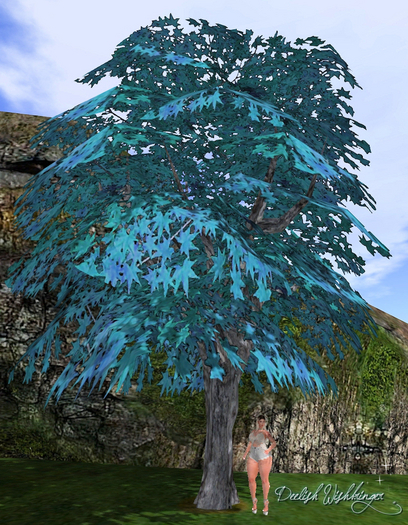 Breezy Maple Tree Teal 2LI