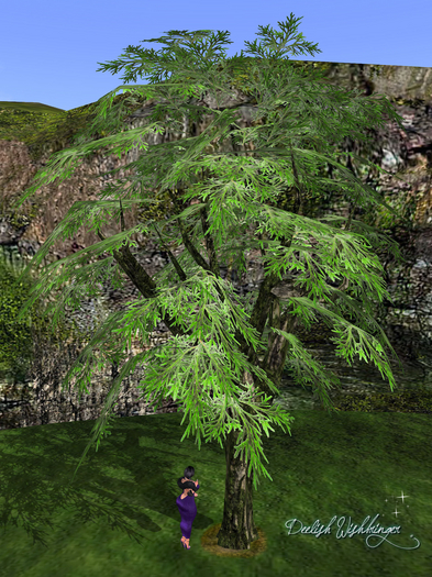 Breezy Cyprus leaves Tree 2LI
