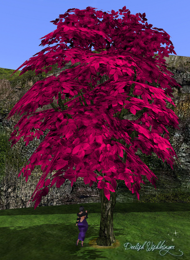 Breezy hot pink Tree 2LI