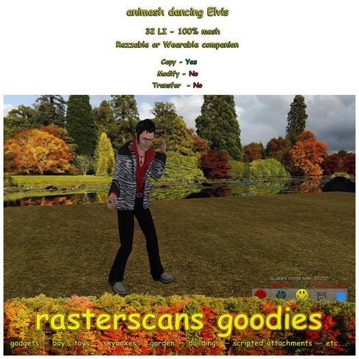 ANIMESH DANCING ELVIS