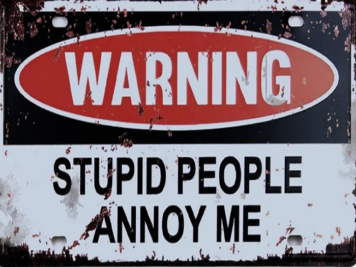 Mesh Metal Sign-Stupid People