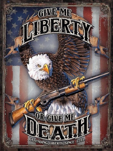 Mesh Metal Sign-Give Me Liberty