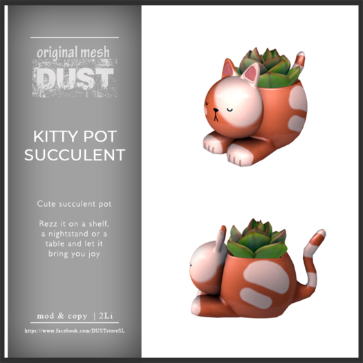 DUST: Kitten Succulent Pot 