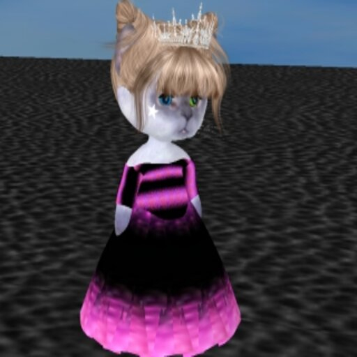 PRIMGOWN SET