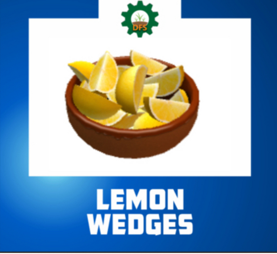 DFS Lemon Wedges * item