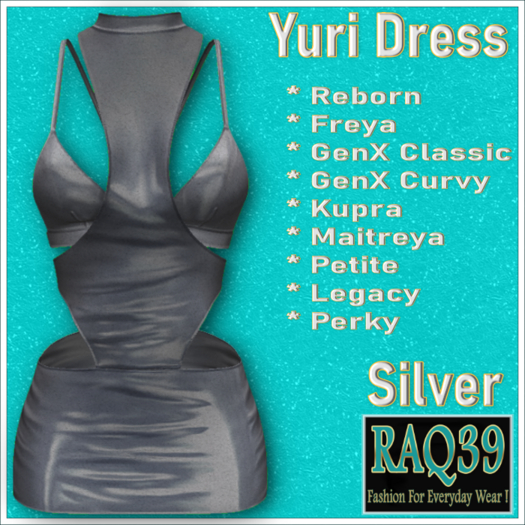 [R39] Yuri Dress-Silver