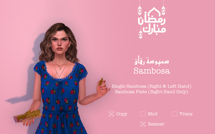 AM - Ramadan23 - Triangle Sambosa