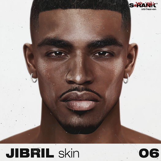 S-RANK "JIBRIL" SKIN / TONE 06