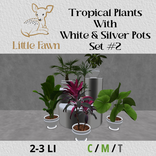LF-Tropical Plants In White and Silver pots WResizer set#2 *ADD