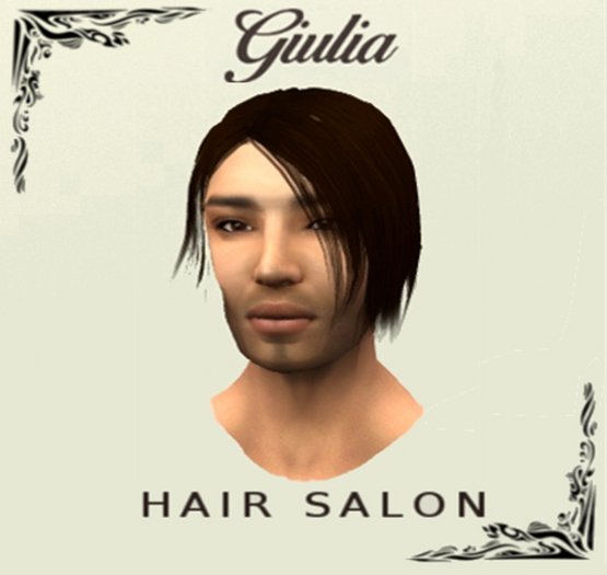 Male brown Hairs long - Mesh - Giulia