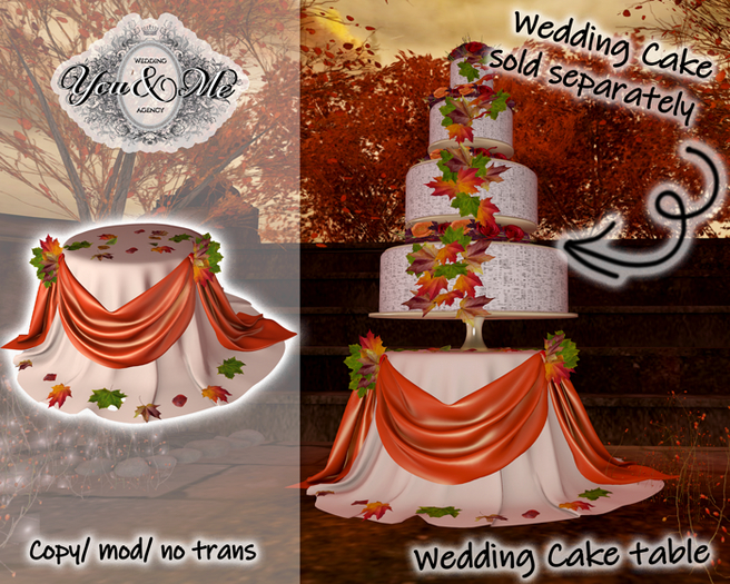 {Y&M Designs} Autumn Wedding Cake Table Add