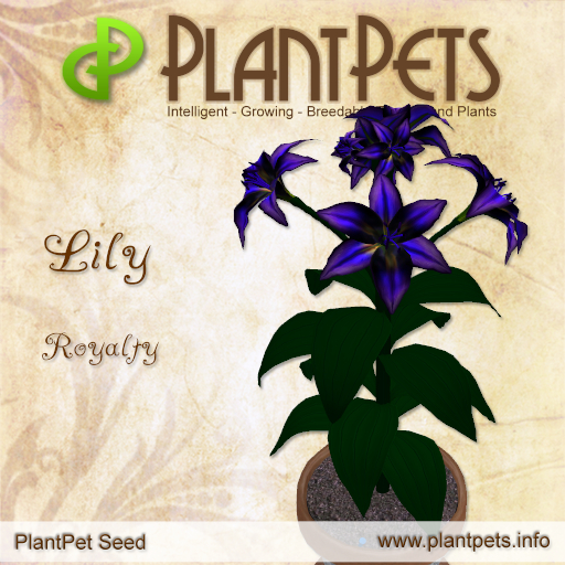 PlantPet Seed [Lily *Royalty*] Rare Updated 3.088