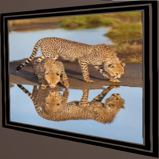 A Beautiful Reflection.