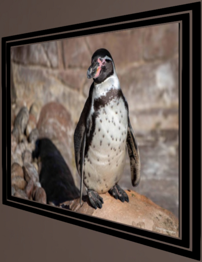 Penguin Power