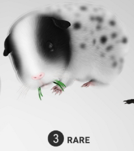 3. SEmotion Libellune Guinea Pig Companion RARE