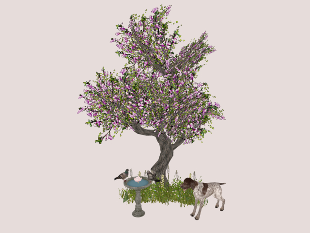 Spring Tree With Dog
