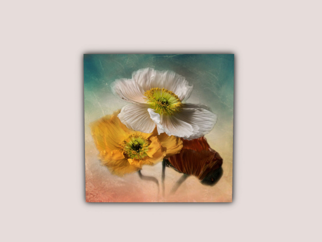 Frame 3 flowers