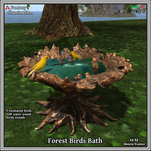 Birds Bath