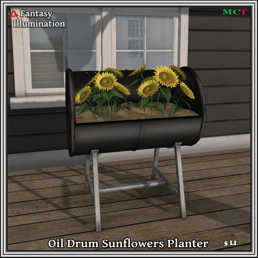 SUNFLOWERS