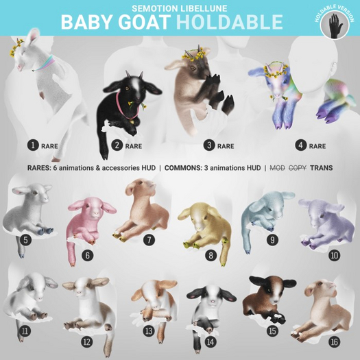 4. SEmotion Libellune Baby Goat Holdable RARE