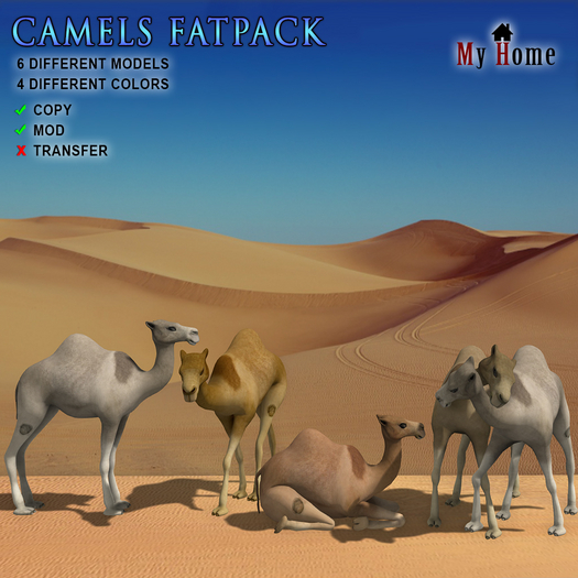 [My Home] Camels FATPACK