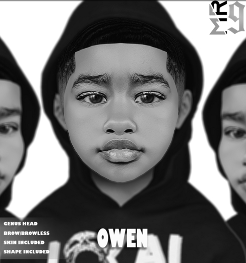 Owen Skin Demo (GENUS)