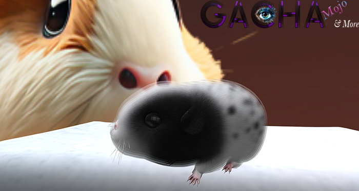 3. SEmotion Libellune Guinea Pig Companion RARE