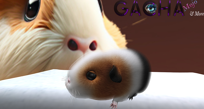 2. SEmotion Libellune Guinea Pig Companion RARE