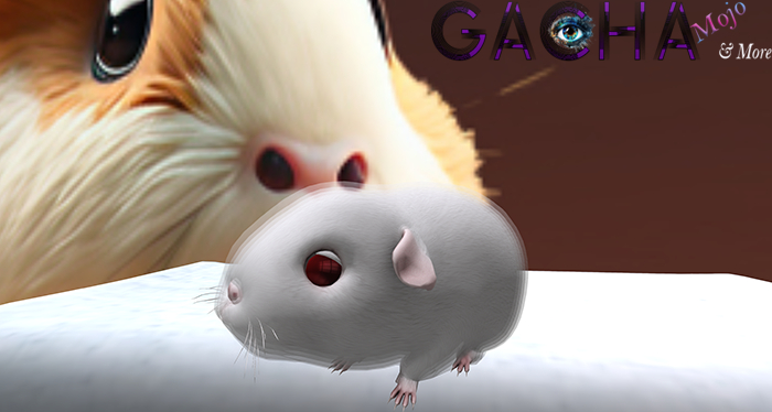 SEmotion Libellune Guinea Pig Companion FULL SET  With *RARES*