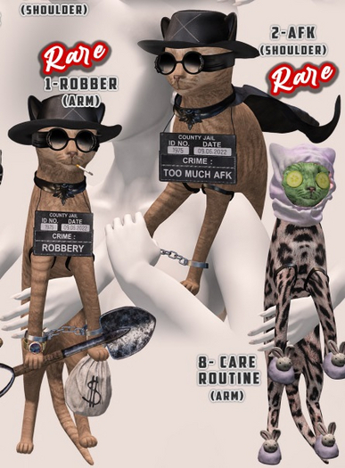 01.[Since1975] Robber Cat / Arm RARE