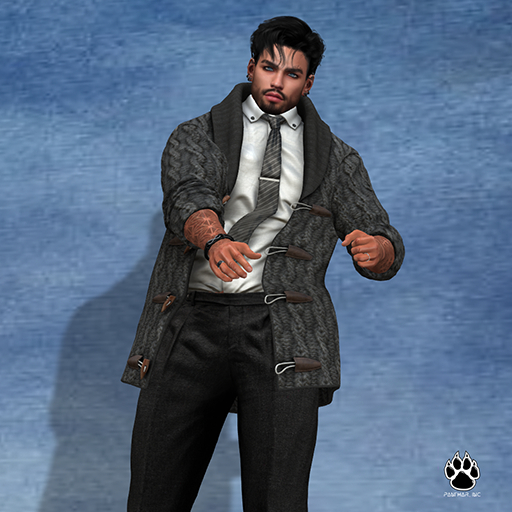 Panthar Inc. Male Action 12