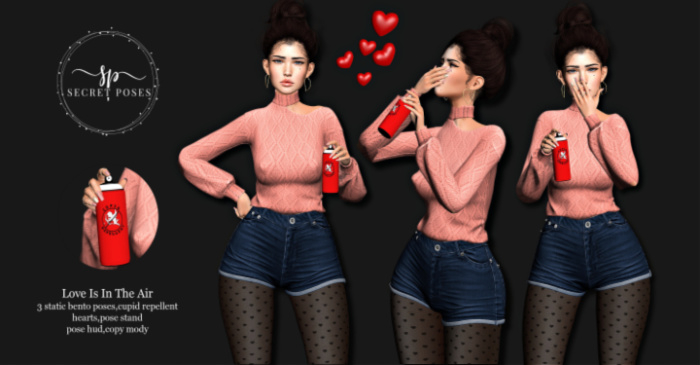 Secret Poses -Love Is In The Air  ADD