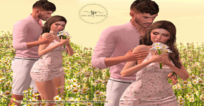 Secret Poses - Happiness (box)