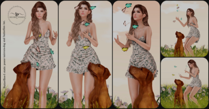 Secret Poses - Butterflies  ADD