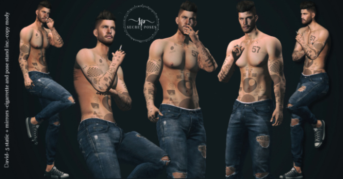 Secret Poses - David  ADD
