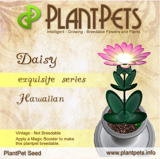 PlantPet Seed [Daisy *Hawaiian*]
