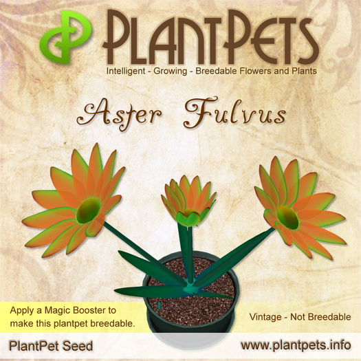 PlantPet Seed [Aster *Fulvus*]