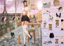 01 Vulnus Spring In Paris Skybox RARE