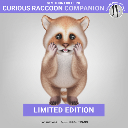 SEmotion Libellune Curious Raccoon Companion LIMITED