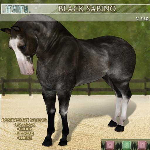 [. HEATHEN .]  Teegle Skin  -Black Sabino- {REZ}