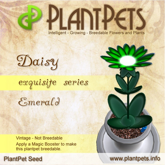 PlantPet Seed [Daisy *Emerald*]