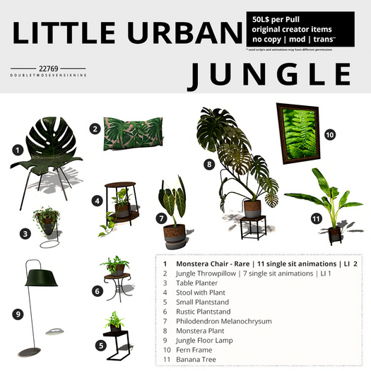 1 22769 - Monstera Chair - RARE