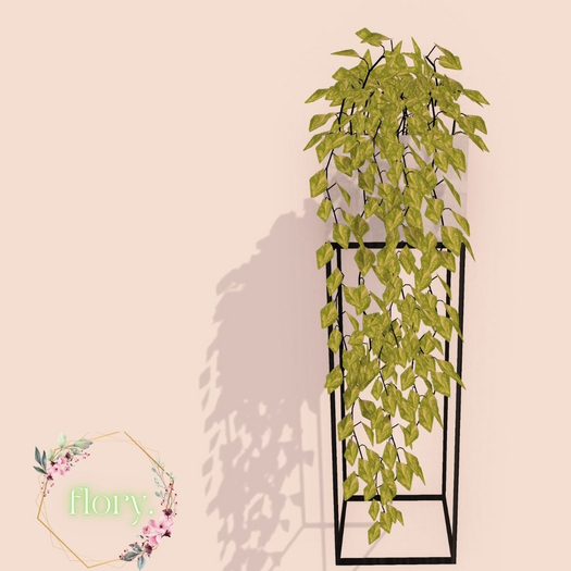 flory. - Pothos Planter Concrete