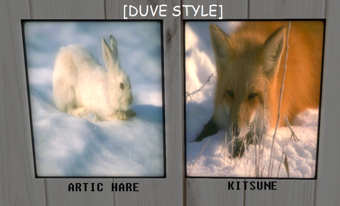 [DS] ARTIC HARE + KITSUNE
