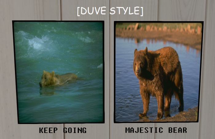 [DS] KEEP GOING + MAJESTIC BEAR