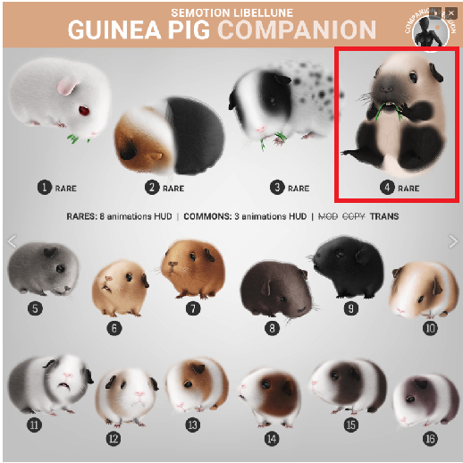 4. SEmotion Libellune Guinea Pig Companion RARE