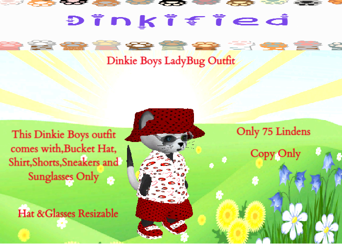 Dinkified -Boys LadyBug Set