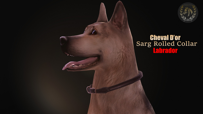 Cheval D'or / Teeglepet Labrador / Sarg Rolled Collar. [HUD]